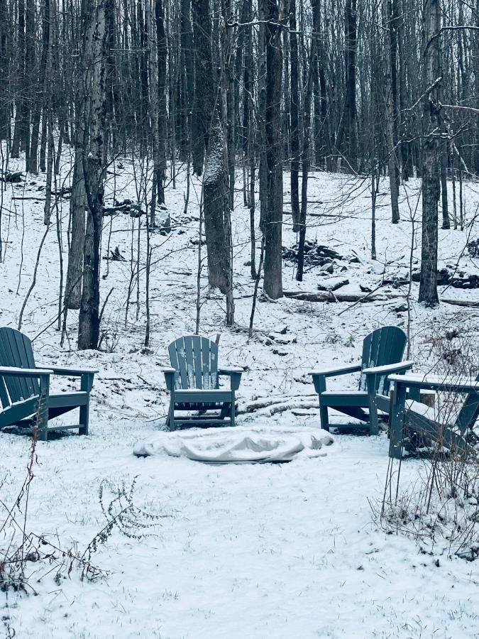 Cozy Cottage With Jacuzzi And Fire Pit And Reading Nook! Livingston Manor Εξωτερικό φωτογραφία