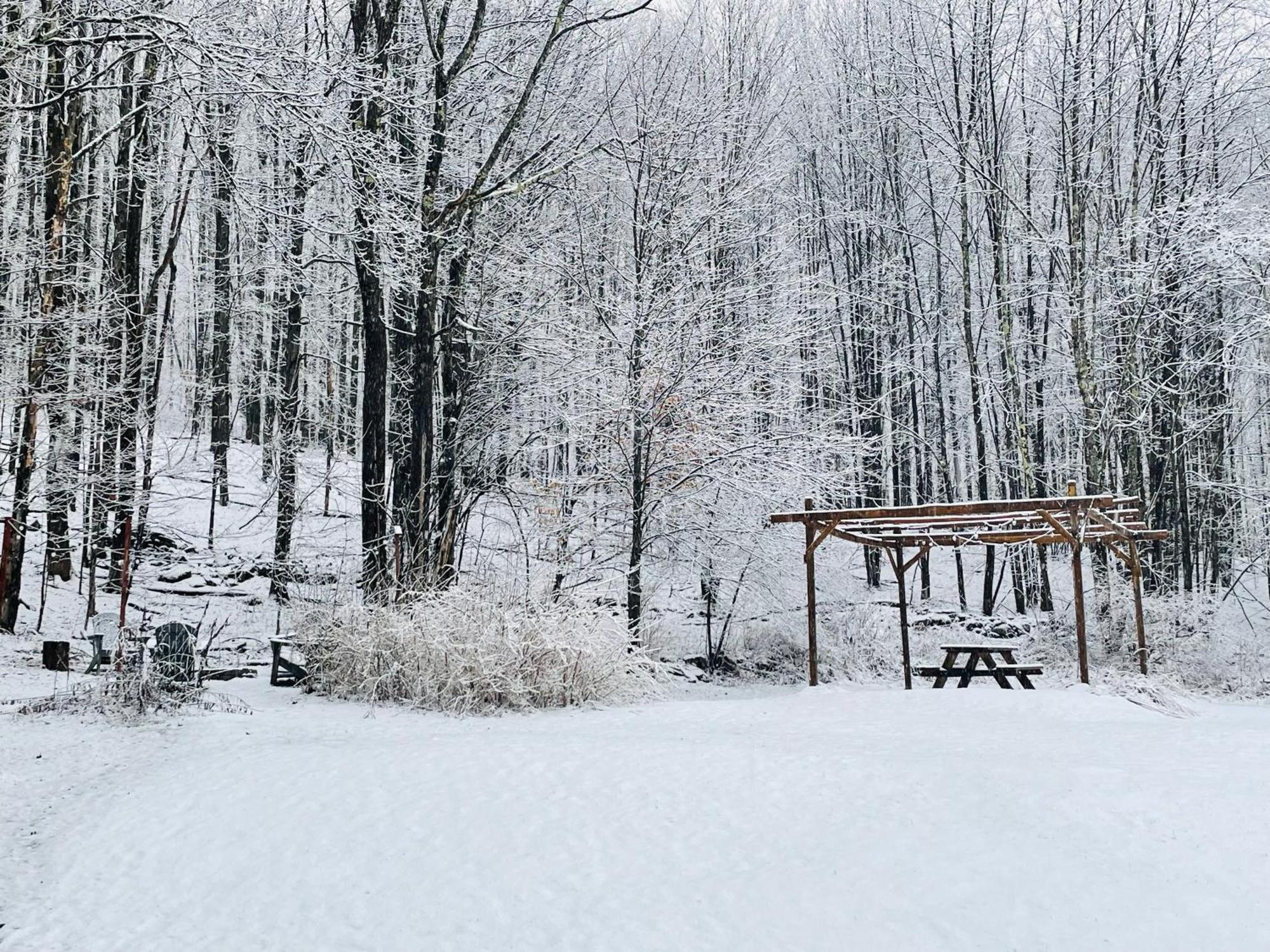 Cozy Cottage With Jacuzzi And Fire Pit And Reading Nook! Livingston Manor Εξωτερικό φωτογραφία
